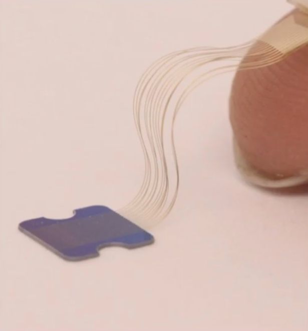 N1 sensor of Neuralink