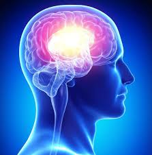 Brain on reading