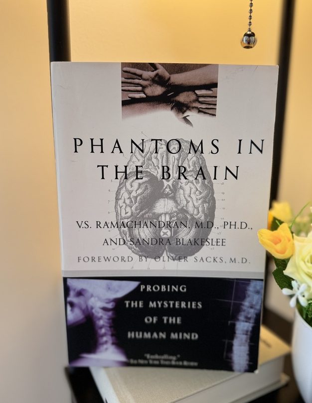Phantoms in the Brain